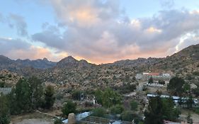 مزرعة الكرم الحاتمي